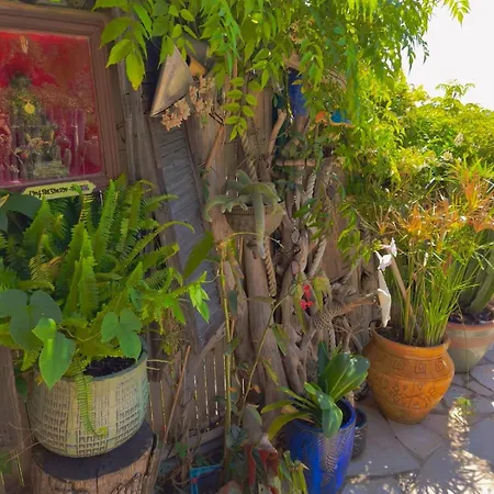 Vue , Jardin & Ambiance Tiny House Apartment